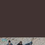 [세븐틴] 아니그러고보니인ㄷㅓㅓ숲