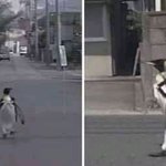 과민성<b>대장</b>증후군 수능 어캄....