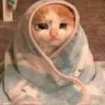 [댓글부탁해] 너네 갑자기 불닭이 <b>단종</b>된다면