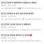 [에이티즈] 죽을때까지 사랑한다고 해달래...