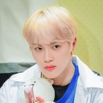우리 <b>화난</b>강쥐 주학년님