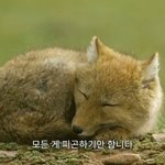 [드루와] 다리길이 비율 <b>인심</b>임 아웃심임??