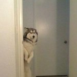 [드루와] 내 mbti 맞쳐봐