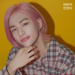 [스키즈] 테이들!