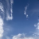 [댓글부탁해] 제발 나 <b>한</b>번만 도와<b>줄</b>분