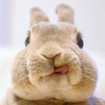 ❤️인스타 아이디 <b>작명소</b> 오픈❤️