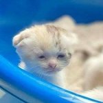 다이어트 강박? 어케고쳐