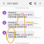 [스키즈] 테이들아 멜.론 스밍돌리자