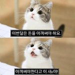 [에이티즈] 뭘 사야되냥..