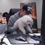 <b>세훈</b>보고싶