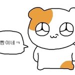 [드루와] 근데 인생은 ㄹㅇ 모르는거임