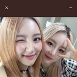 [<b>라잇썸</b>] <b>라잇썸</b> 공트 애기들 모음 ❤️