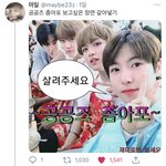 [NCT즌] <b>개재밋</b>으니까보셈 링크주께