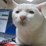 [19] 맥도날드 <b>난리</b>남
