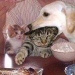 [댓글부탁해] 내 <b>개인사</b> 전교생이 다 알게 됐는데 어떡해