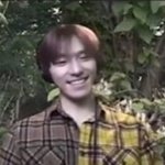 [세븐틴] 세븐틴의 슬기로운 격리생활 보는데