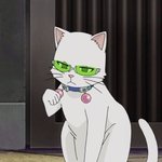 [댓글부탁해] 고양이 키우는 사람 있어? 질문있어 ㅠㅠ
