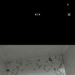 아 개웃<b>기네</b> 에이블리 리뷰ㅋㅋㅋㅋㅋㅋㅋㅋㅋ⫬ㅋ⫬ㅋ⫬