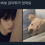 [TXT] 모야 똑같아