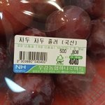 [댓글부탁해] <b>갓생</b> 사는 법 좀 알려줘