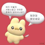 어후 톡선에 냔지로 <b>도배</b>됐네