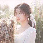 아니 <b>사나</b> 진짜 선넘음