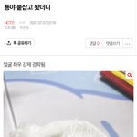 [NCT즌] <b>서치</b>하다가 발견한 귀여운 툥프들ㅎ