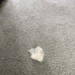 이런 털공 보셨나요? 냥이들 털공 <b>자랑들</b> 해보세요! 즈이집은요...