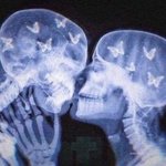 우리 집 만큼 가난한 사람도 없을 듯