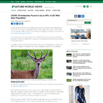 미국 야생 사슴 집단의 40%에서 covid19 항체가 발견되었다