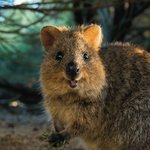 [댓글부탁해] 인그로운헤어 때문에 미치게따