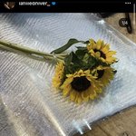 [위키미키] 해바라기를 좋아하는 <b>도연</b>