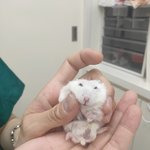 <b>이참</b>에 ㅎㅌㅂ가 걍 선 그었으면