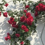[드루와] 내가찍은<b>사진보고</b>가