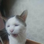 [ㅋㅋ] 선바 사건 팩트