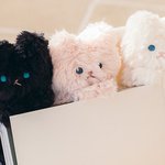 [펜타곤] 마요네즈