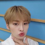 [스키즈] 스노우 보면