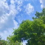 [19] 내동생 우울증인데 ㅅㅂ 개빡침