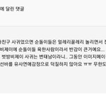 선바 댓글 이거 ㄹㅇ 속 <b>후련</b>함