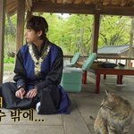 [군대] 진짜 <b>주인</b>같다구 ㅋㅋㅋㅋㅋㅋㅋㅋ