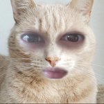 아 나 <b>카톡</b>프사이건데;;;