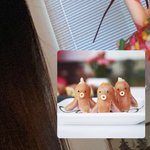 [NCT즌] ㅅㄷ 하 ㅅㅂ 내 머리