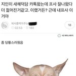 어<b>이업</b>ㅎ다레알
