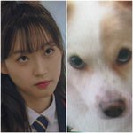 [댓글부탁해] <b>성숙</b>한 애들 진짜 신기하지 않냐??