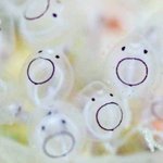 [TXT] 두밧두<b>와리</b>와리 합격