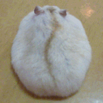 [댓글부탁해] 10살 연상이랑 연애하는게 <b>죄인</b>가요.,.?