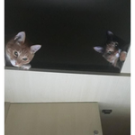 고3되면 <b>sns</b> 끊는게 좋음