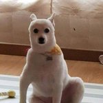 누나... 왜 안<b>자요</b>...?