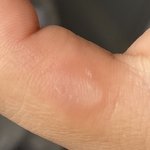 네고왕 행사 2일차 <b>배라</b> 알바생 팔상태