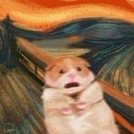 릴<b>바레</b> 블루베리 머랭인척 써본 사람있어?